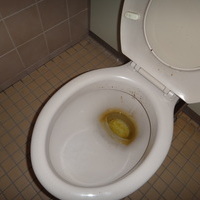 トイレ清掃（県立高校様）のサムネイル
