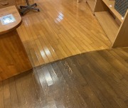 フローリング床の剝離清掃（前橋市飲食店様）
